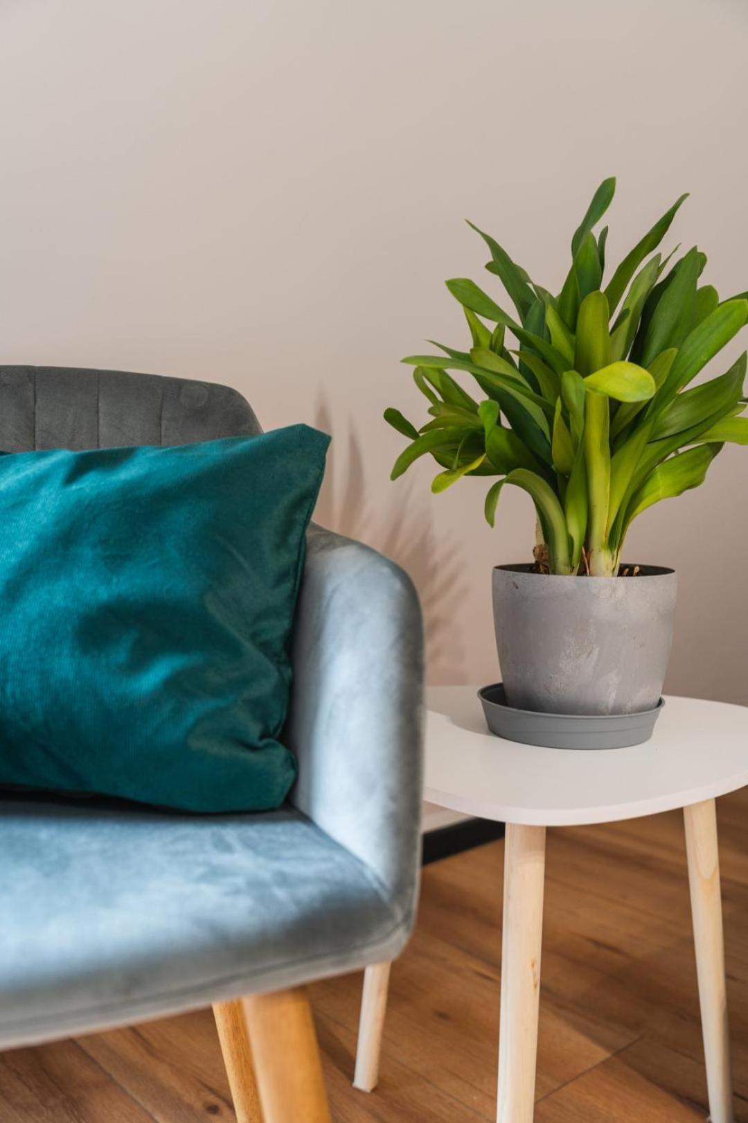 Apartament Przy Baszcie - Z Prywatnym Parkingiem W Centrum - By Spaceapart Jelení Hora Exteriér fotografie